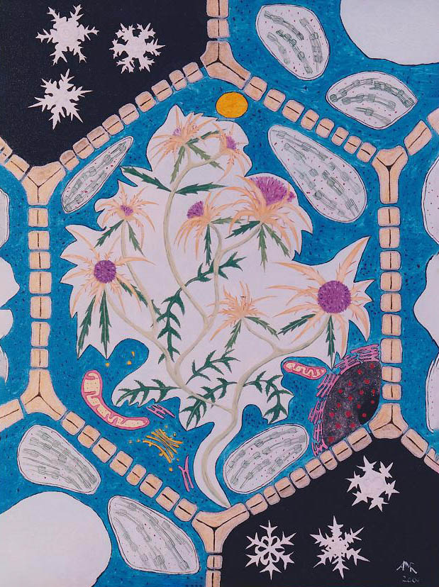 recalcitrance alan rayner occurrity