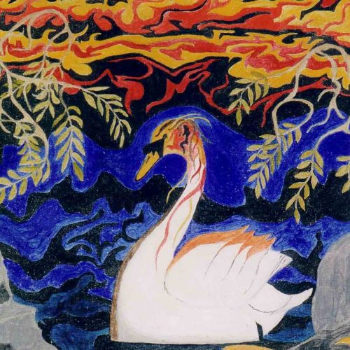 fiery swan alan rayner occurrity