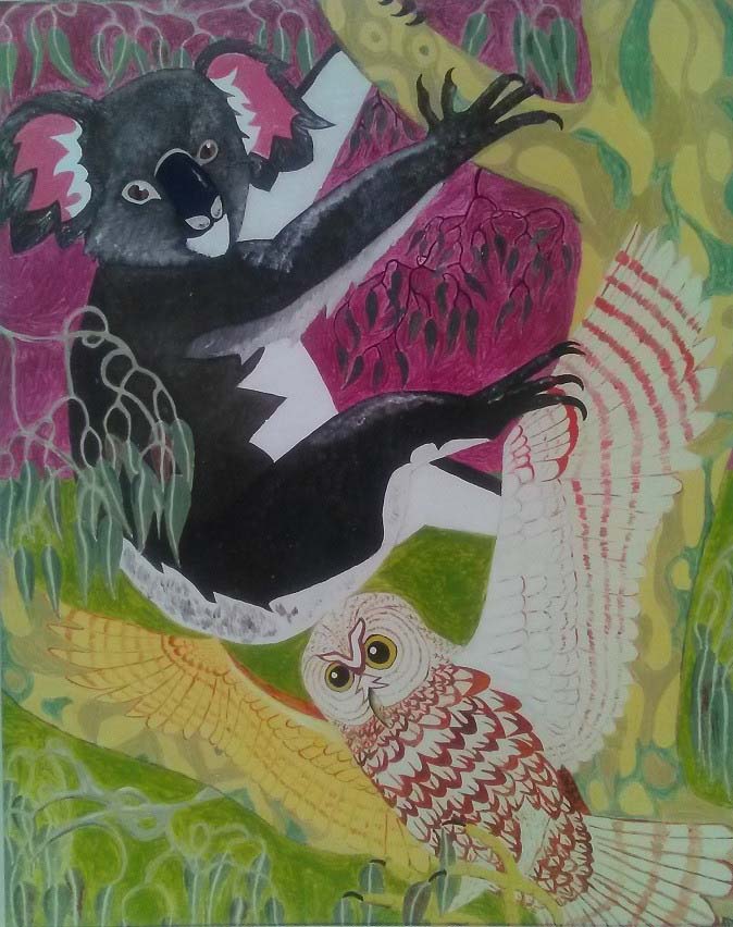 koala and owl alan rayner occurrity