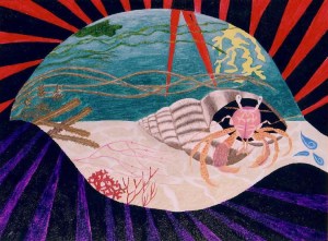 on being a hermit crab alan rayner occurrity