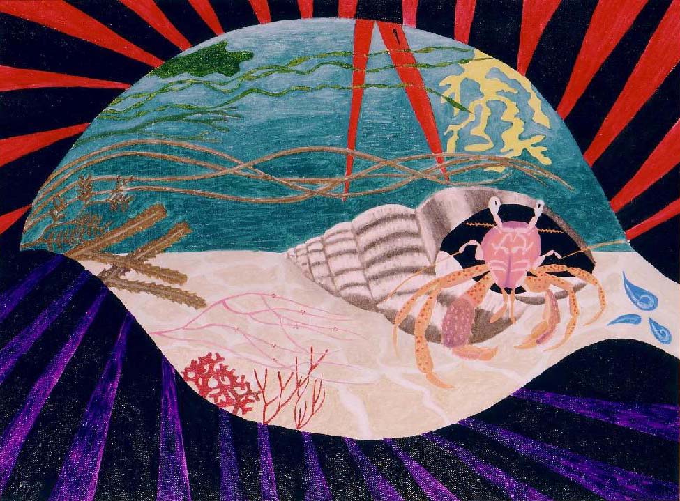 on being a hermit crab alan rayner occurrity