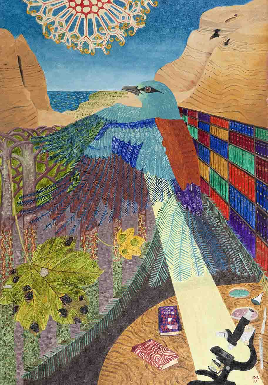 roller coaster alan rayner occurrity