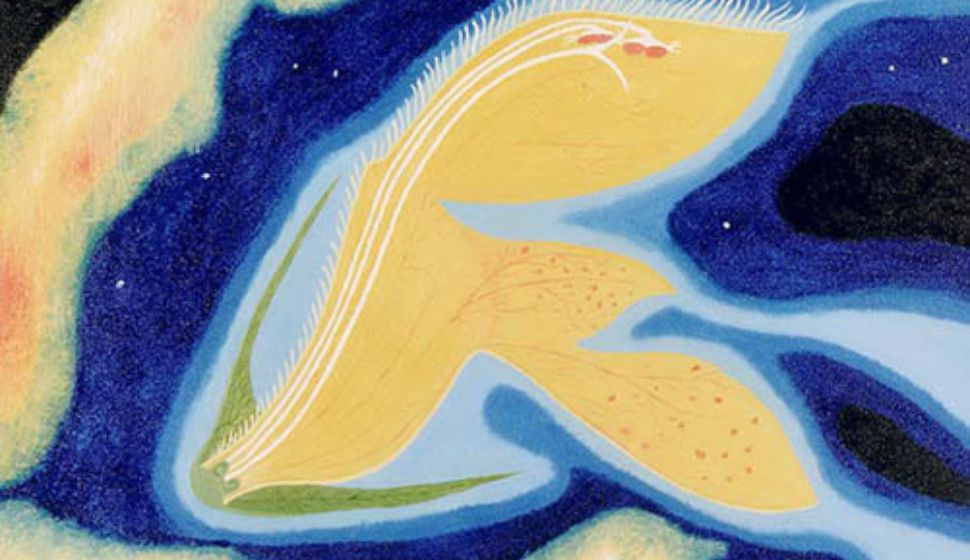 Archangels emersed in space