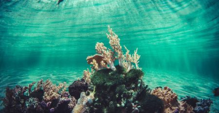 Polarization and Propagation