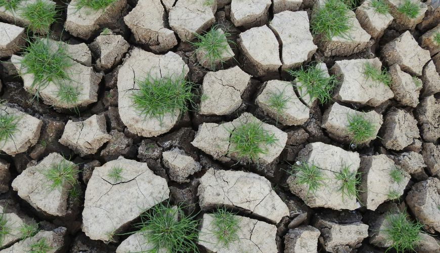 Boulders with moss growing